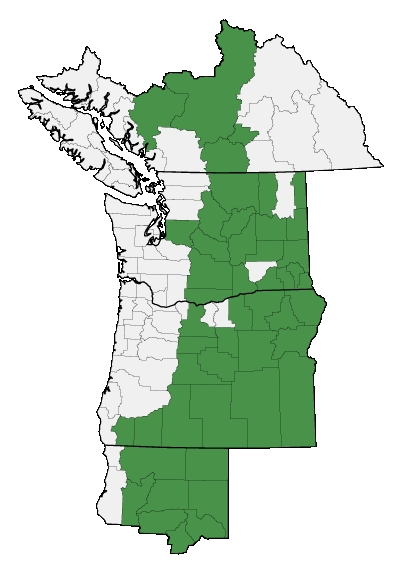 Map of where plant is found