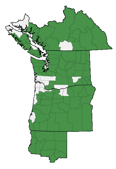 Map of where plant is found