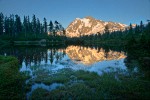 Mt. Shuksan reflected in Picture Lake near sunset w/ Mountain Hemlock silhouettes