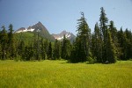 Mountain Hemlocks & Alaksa Yellow Cedars ring Sedge & Narrow-leaved Cottongrass meadow w/ North & South Twin Sisters bkgnd [pan 2 of 3]