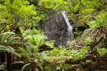 Waterfall on Squires L outlet stream, summer
