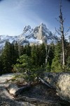 Early Winter Spires & Liberty Bell framed by conifer forest